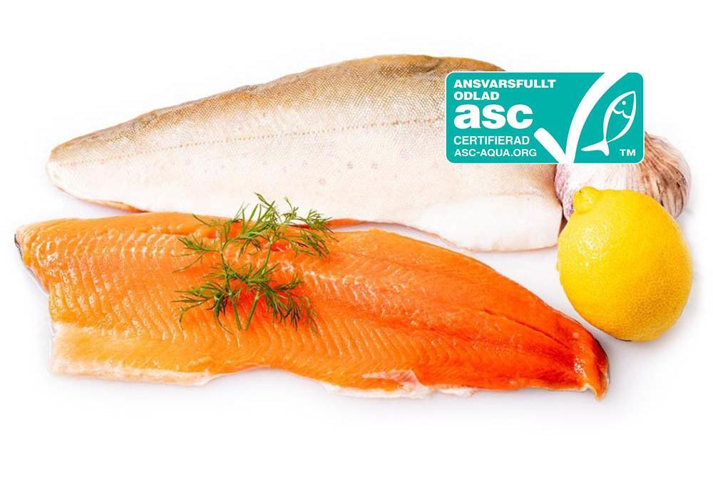 ishavet.nu fisk & skaldjur