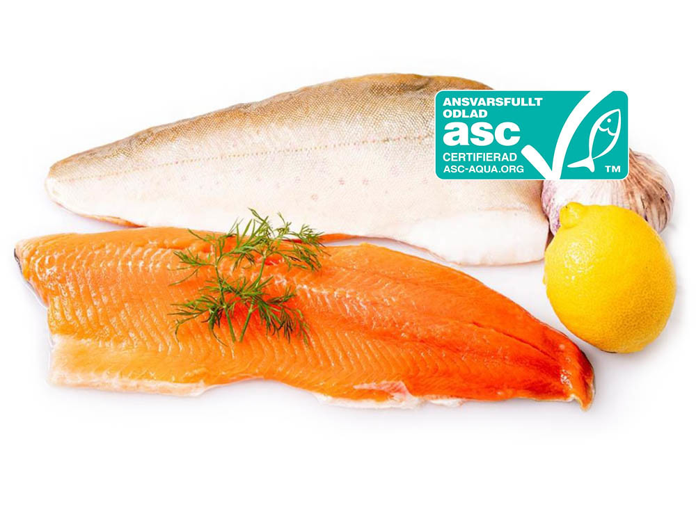 islands_fjall_asc1 ishavet.nu fisk & skaldjur