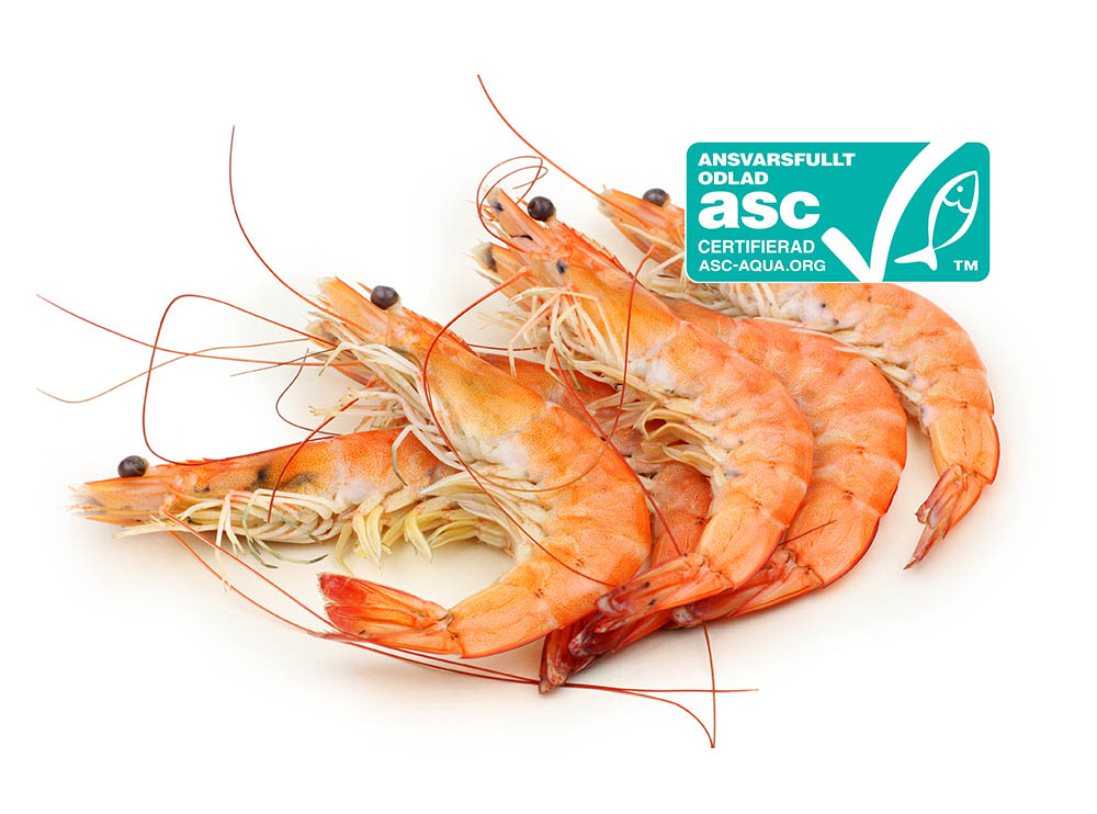 Tapas Gambas ASC Tapas Gambas ASC