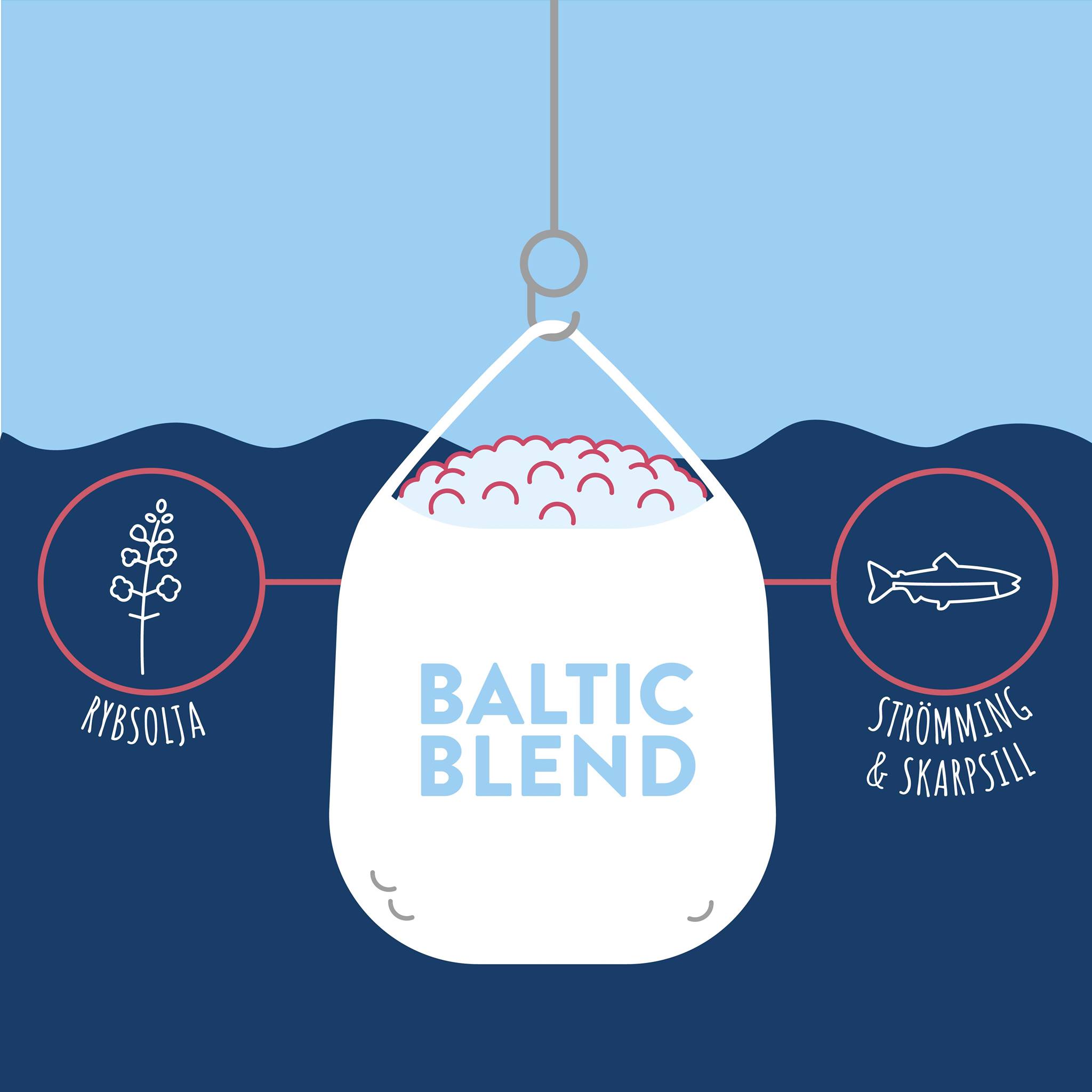 119690452_1187313491648091_8197087328062022486_n ishavet.nu fisk & skaldjur