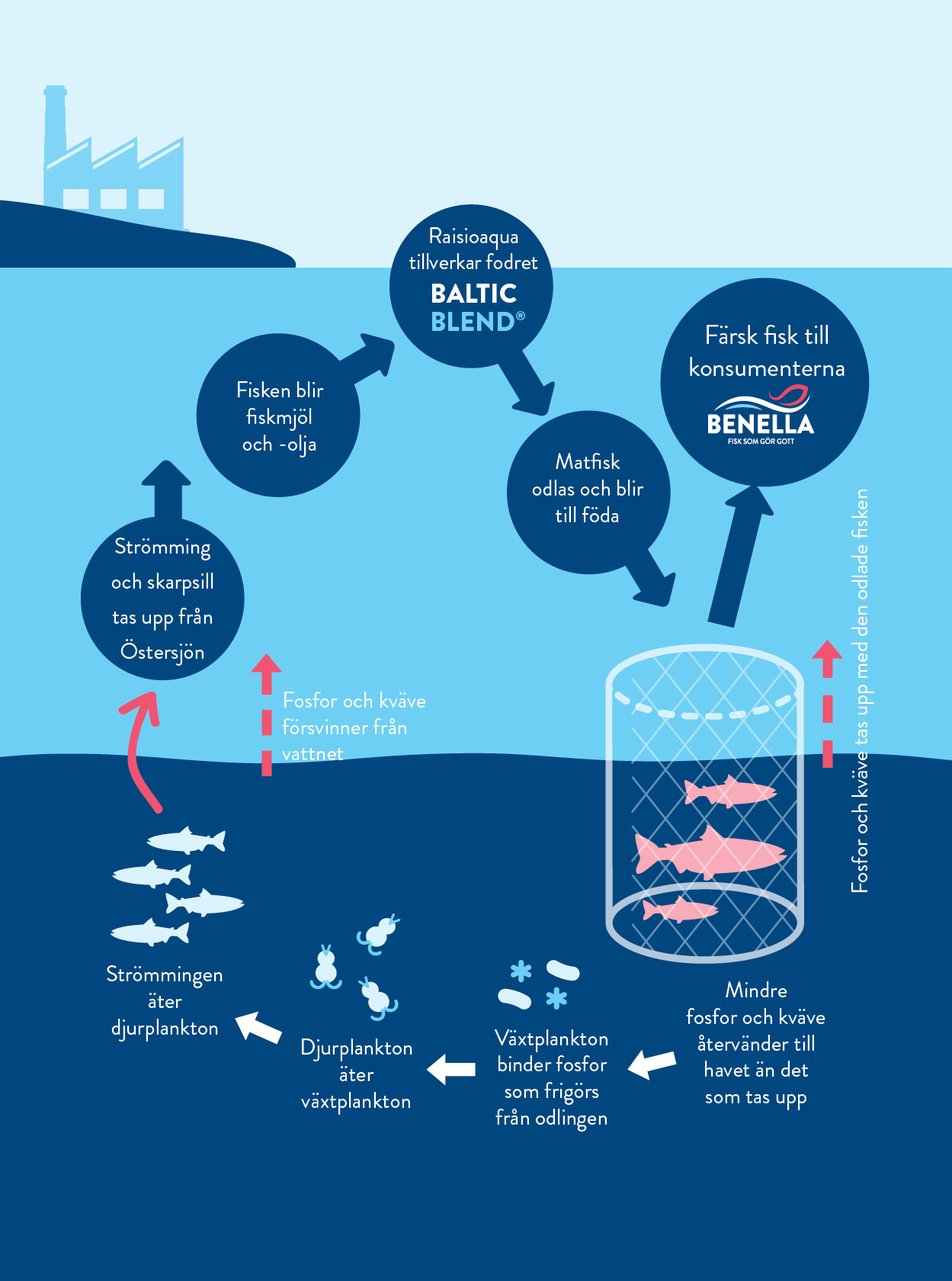 Odlingsflode ishavet.nu fisk & skaldjur