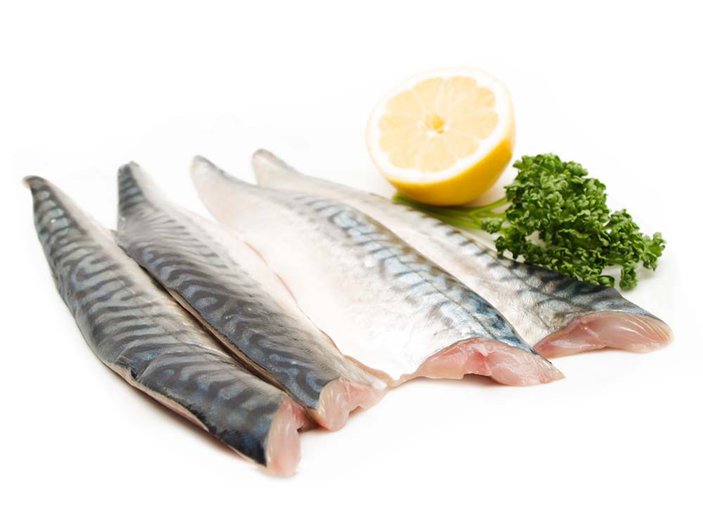 Makrillfilé Makrillfilé