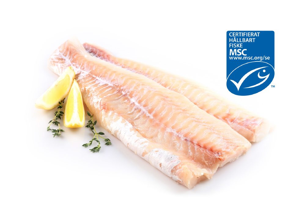 Torskfile MSC