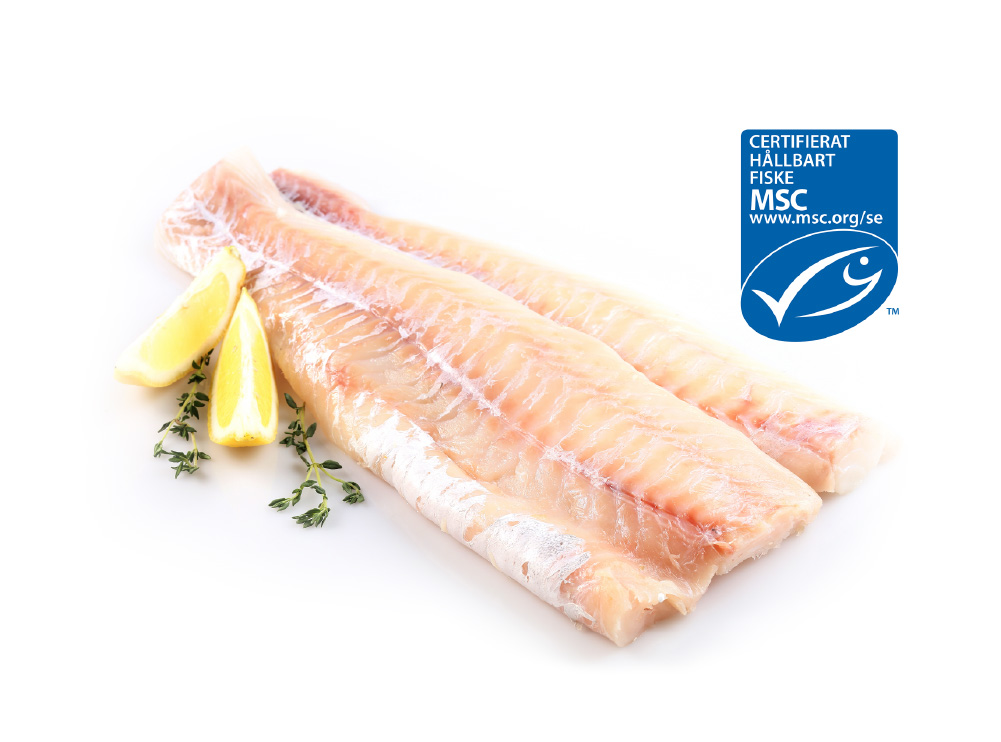Torskfile MSC Torskfile MSC