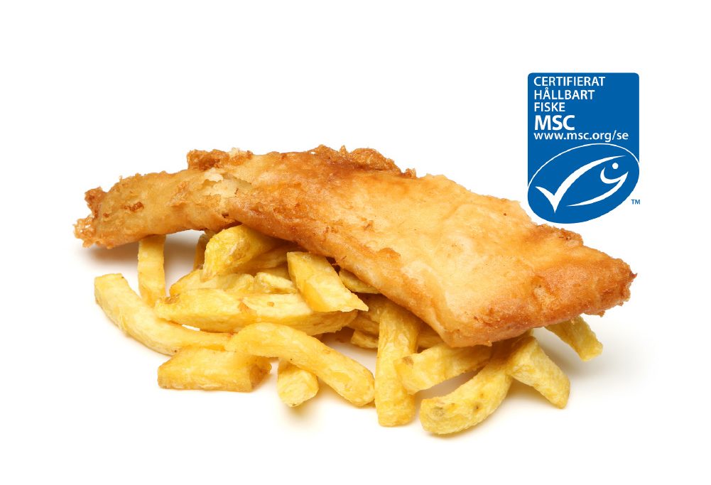 Tempurainbakad Kojlafilé MSC