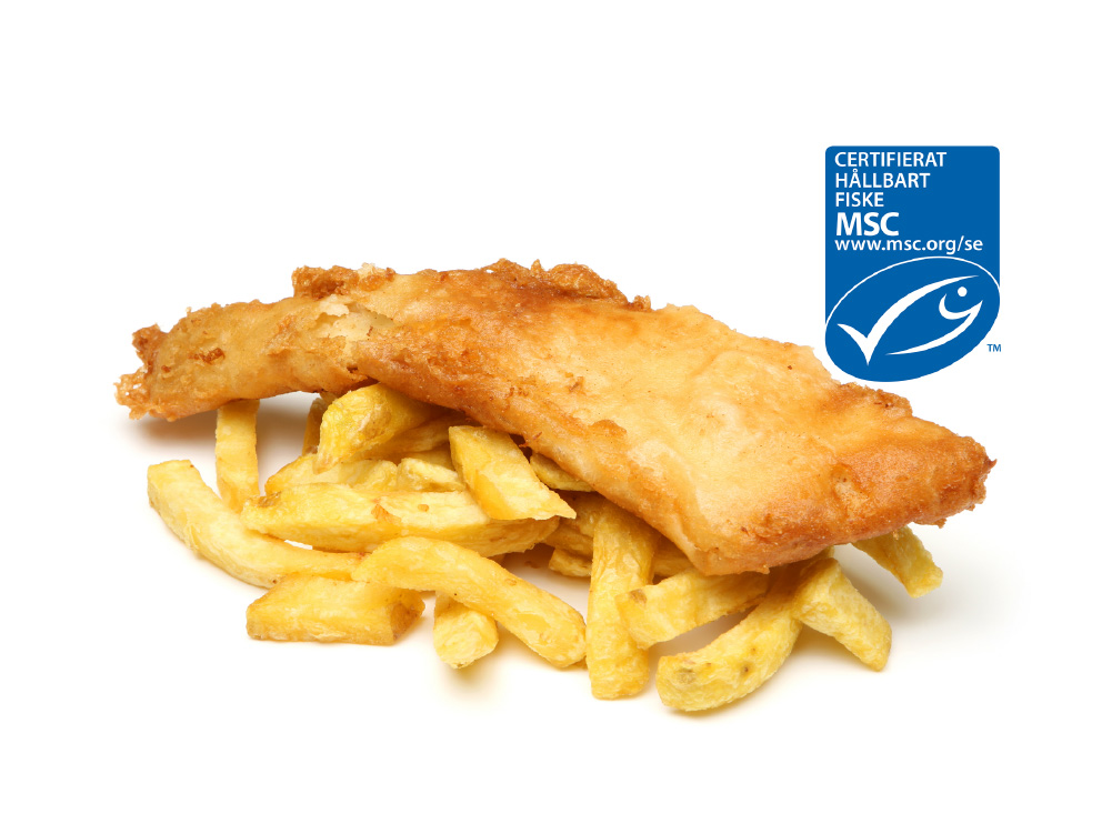 Tempurainbakad Kojlafilé MSC Tempurainbakad Kojlafilé MSC